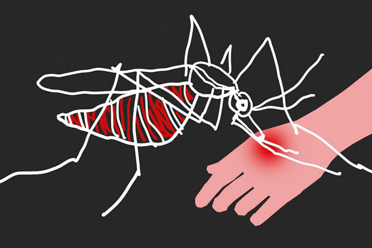 Dengue 7 Deaths in 24 Hours, 1,139 New Hospitalizations